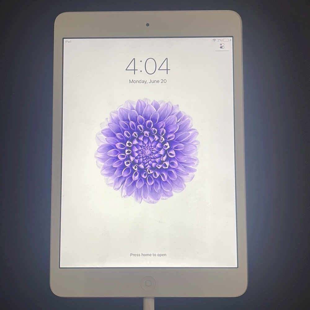 iPad mini 2